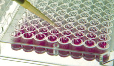 Immunogenität